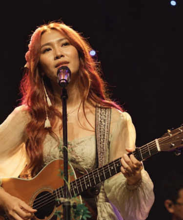 penyanyi tampil di panggung musik