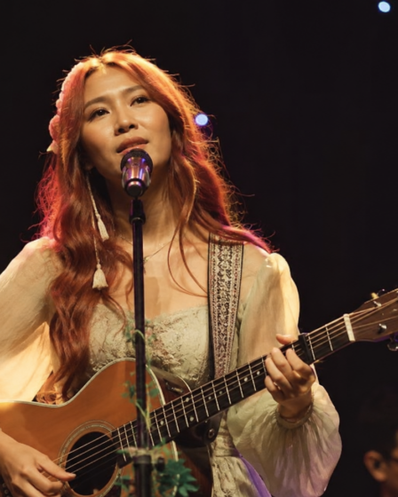 penyanyi tampil di panggung musik
